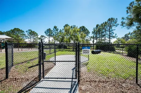 11922 Frost Aster Drive Riverview FL 33579