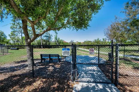 11922 Frost Aster Drive Riverview FL 33579
