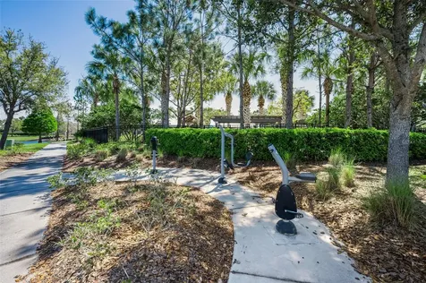 11922 Frost Aster Drive Riverview FL 33579