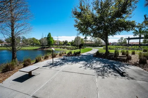 11922 Frost Aster Drive Riverview FL 33579