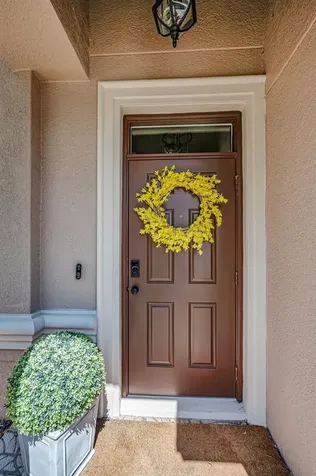 11922 Frost Aster Drive Riverview FL 33579