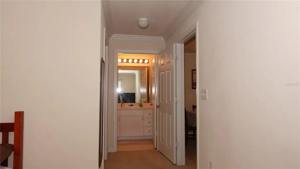 18281 Bridle Club Drive Tampa FL 33647