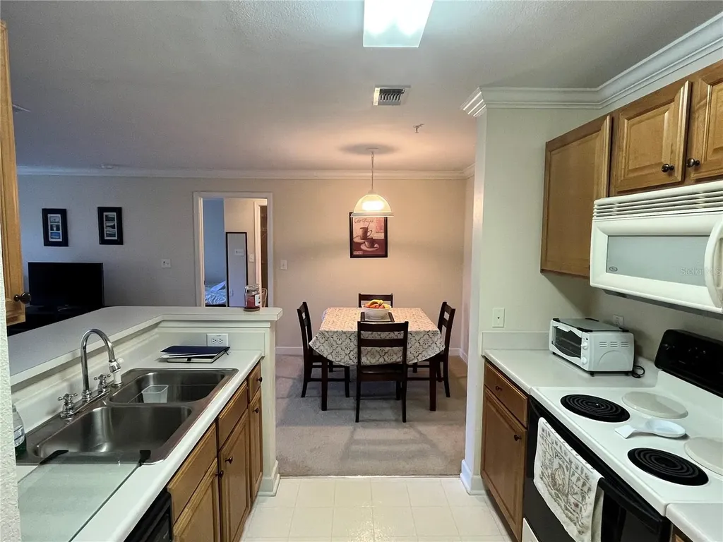 18281 Bridle Club Drive Tampa FL 33647