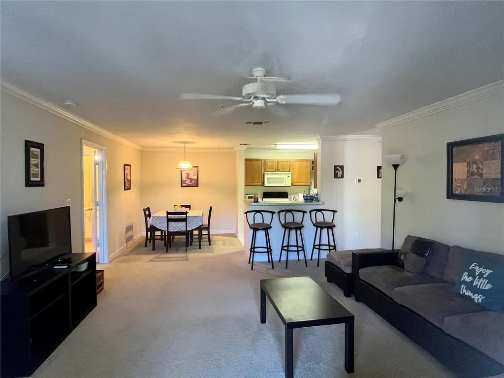 18281 Bridle Club Drive Tampa FL 33647