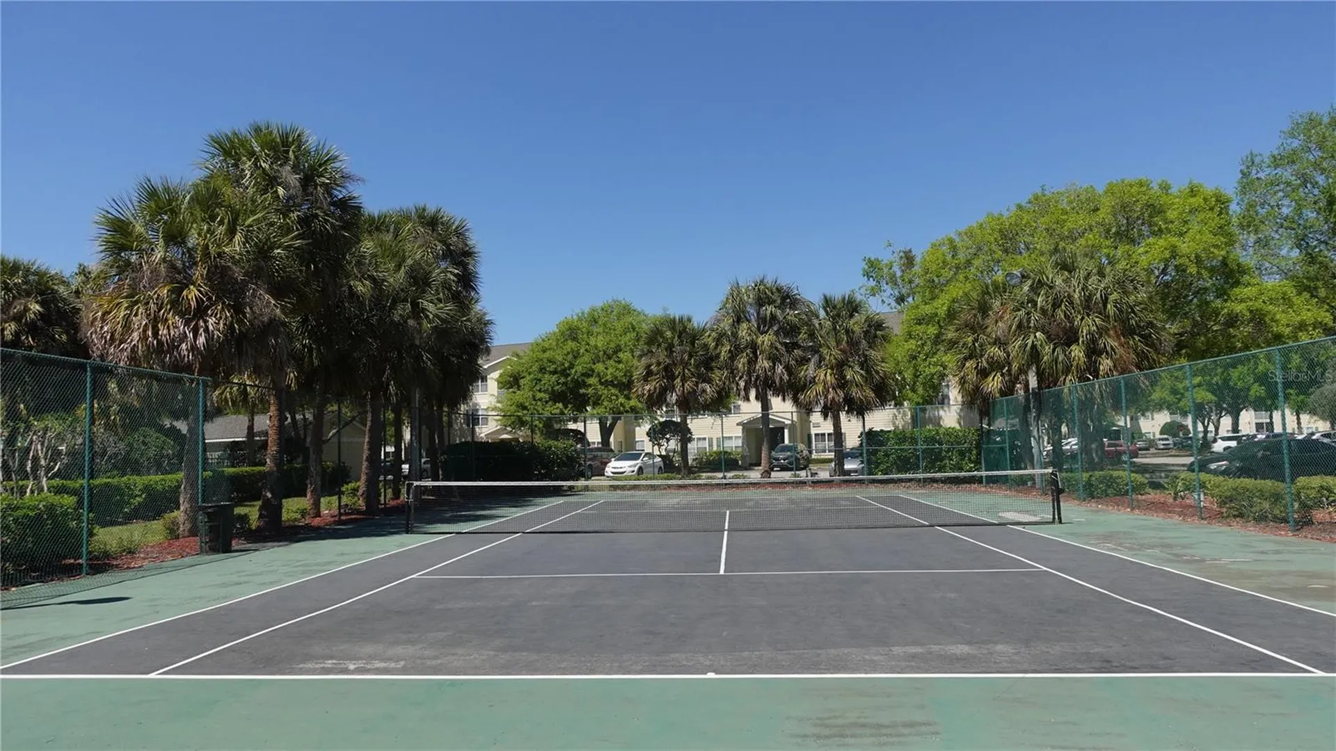 18281 Bridle Club Drive Tampa FL 33647