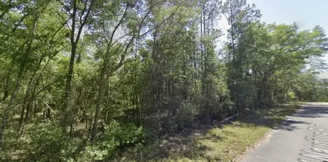 SW Nautilus Boulevard Dunnellon FL 34431