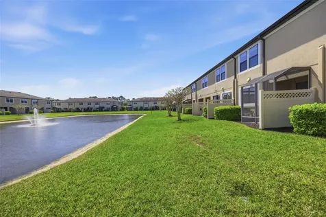 11539 Crowned Sparrow Lane Tampa FL 33626