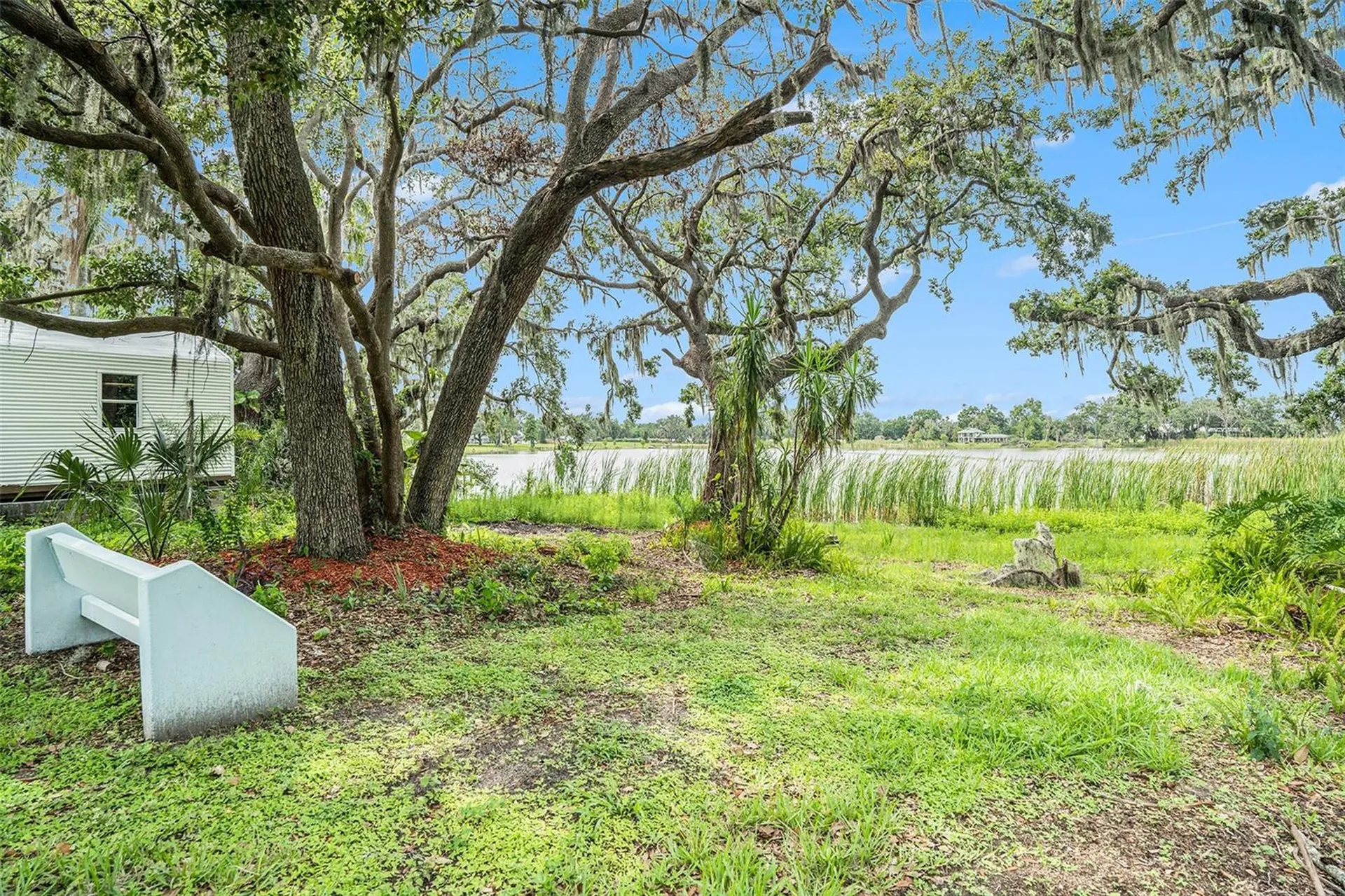 14050 Blackjack Road Dover FL 33527