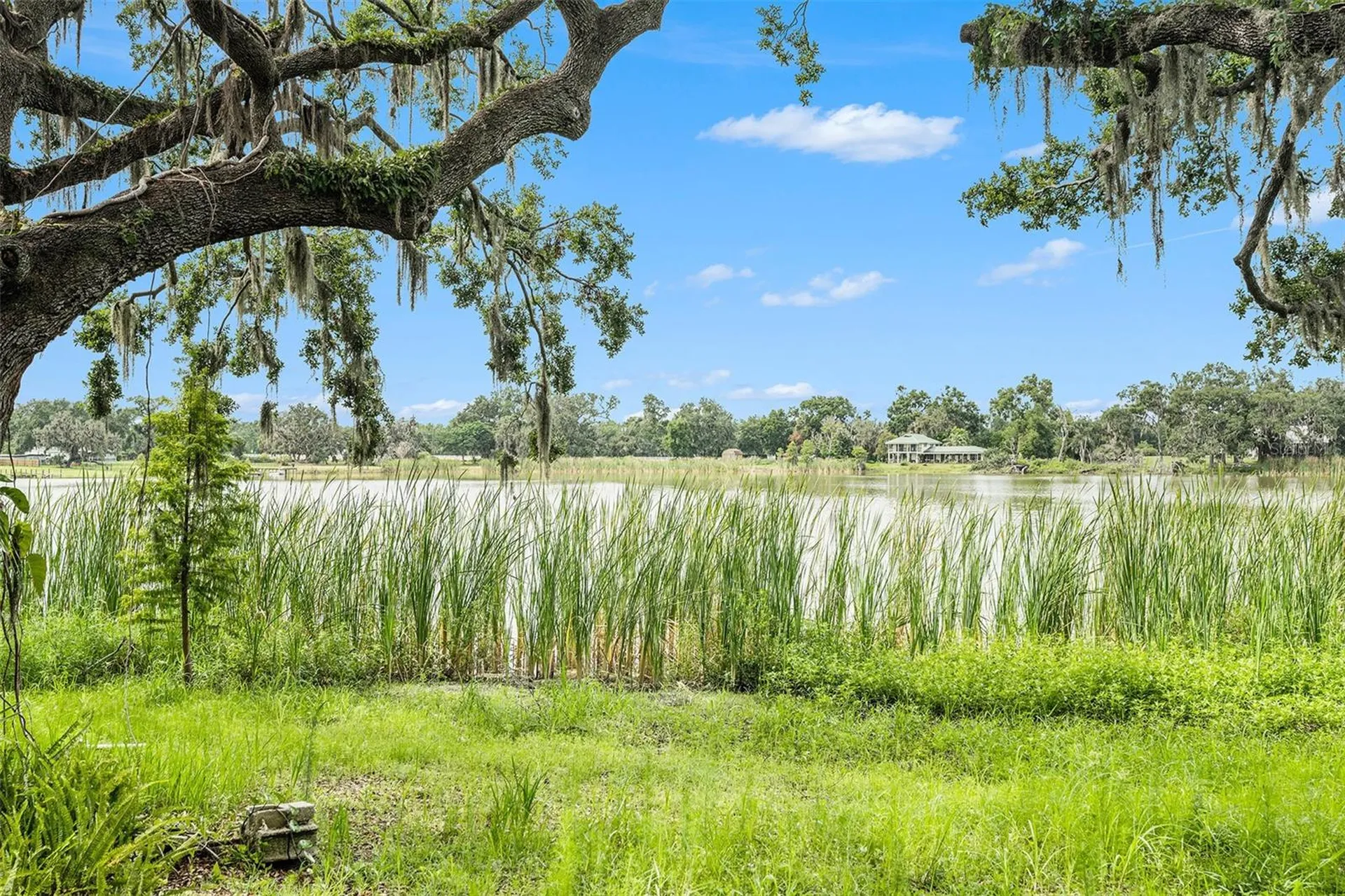 14050 Blackjack Road Dover FL 33527