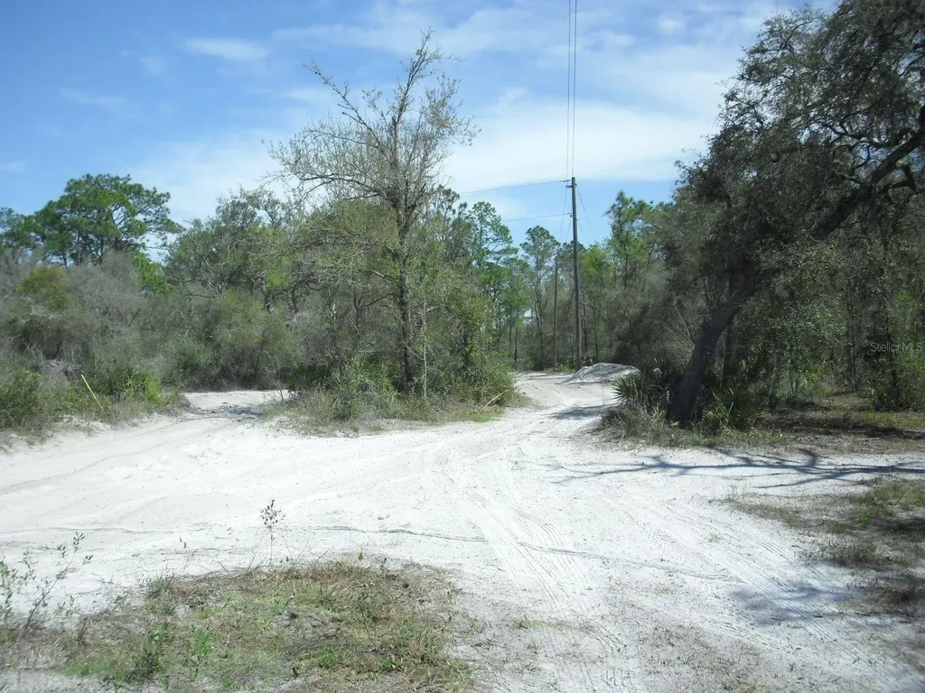 Tract 418 SW 158th Lane Dunnellon FL 34432