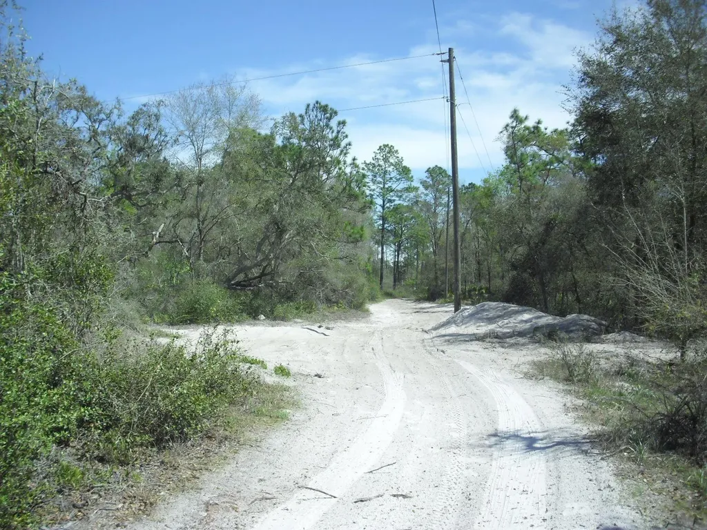 Tract 418 SW 158th Lane Dunnellon FL 34432