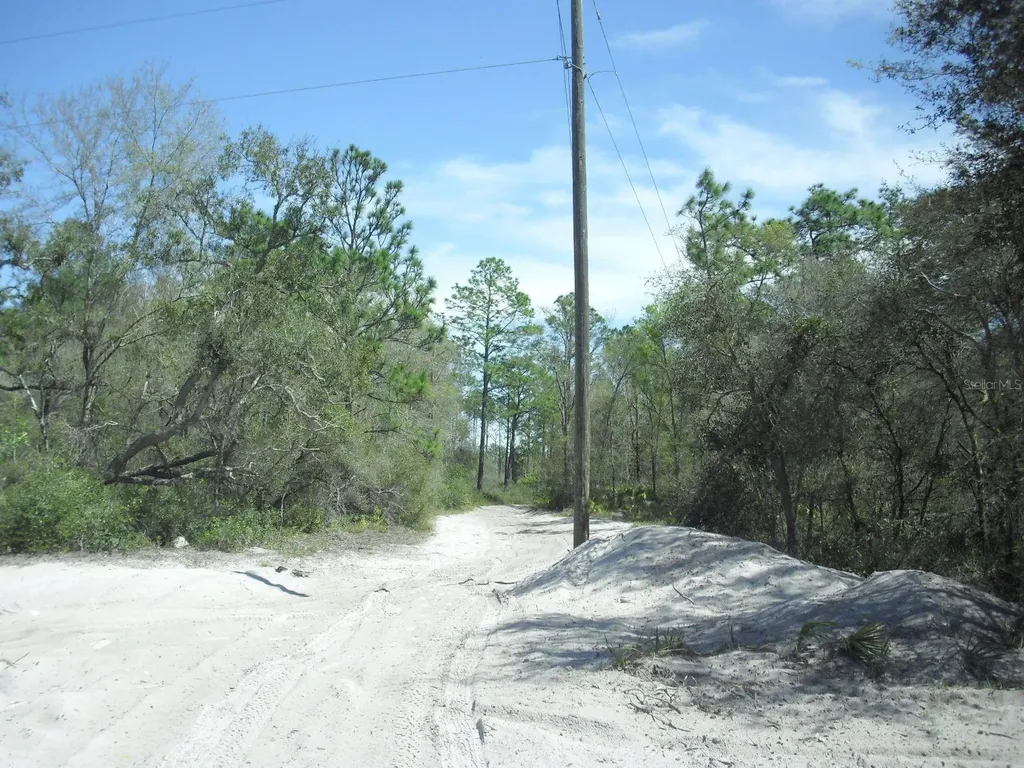 Tract 418 SW 158th Lane Dunnellon FL 34432