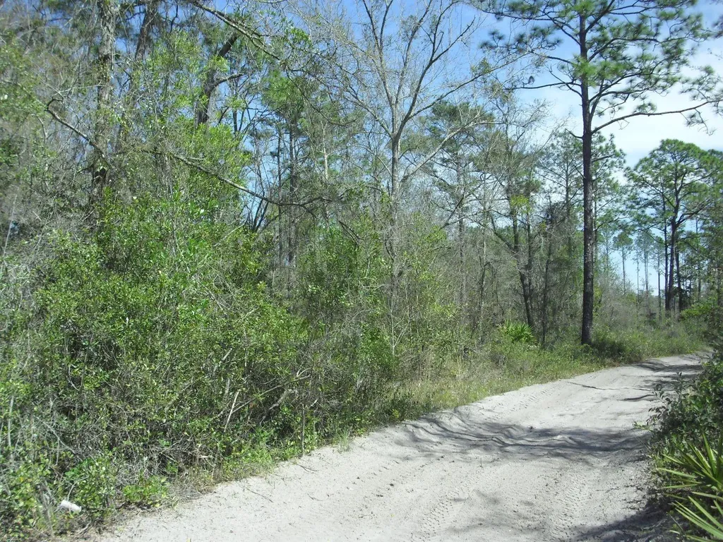Tract 418 SW 158th Lane Dunnellon FL 34432