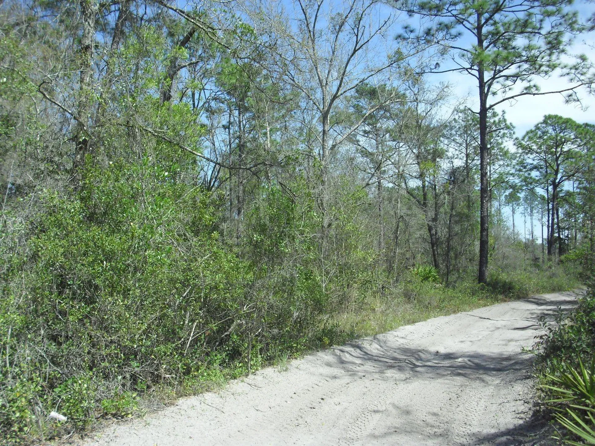 Tract 418 SW 158th Lane Dunnellon FL 34432