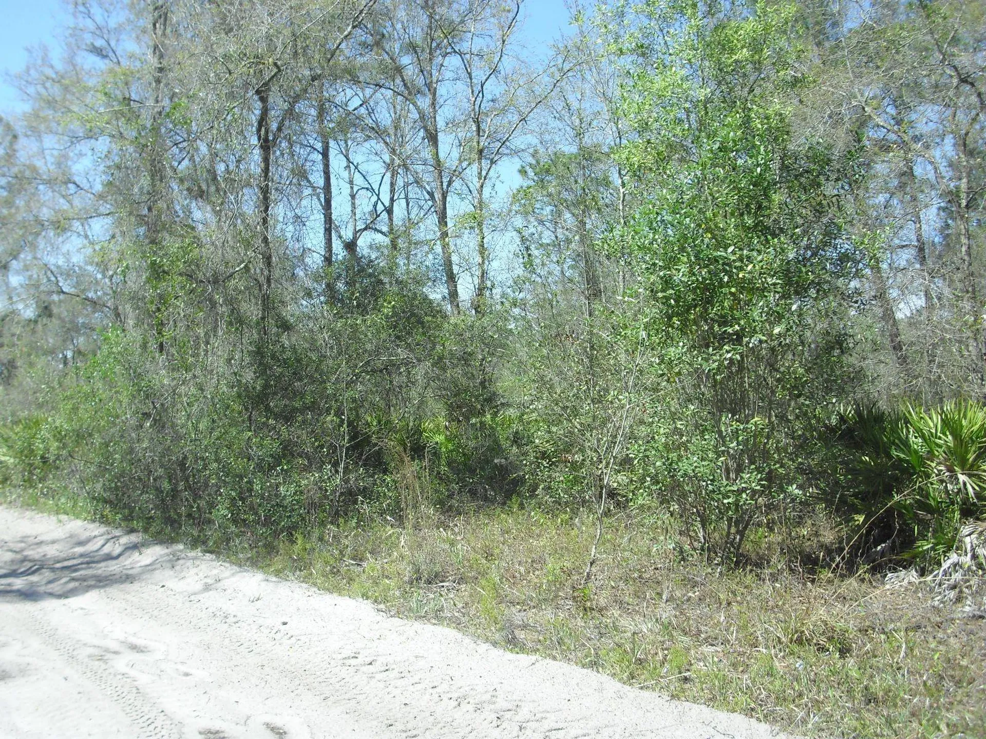 Tract 418 SW 158th Lane Dunnellon FL 34432