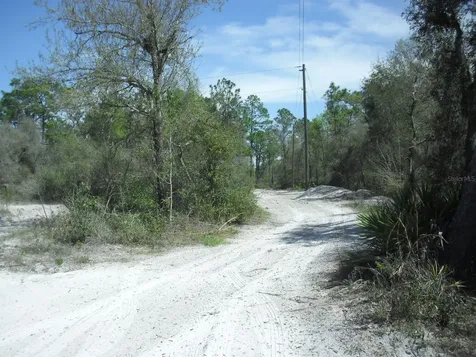 Tract 418 SW 158th Lane Dunnellon FL 34432