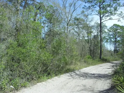 Tract 418 SW 158th Lane Dunnellon FL 34432