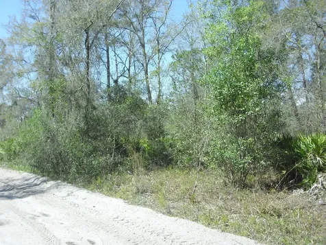 Tract 418 SW 158th Lane Dunnellon FL 34432