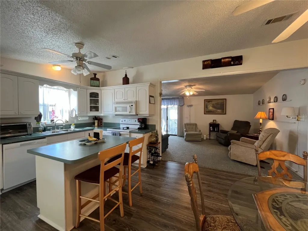529 Rainbow Boulevard The Villages FL 32159