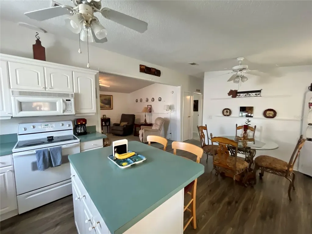 529 Rainbow Boulevard The Villages FL 32159