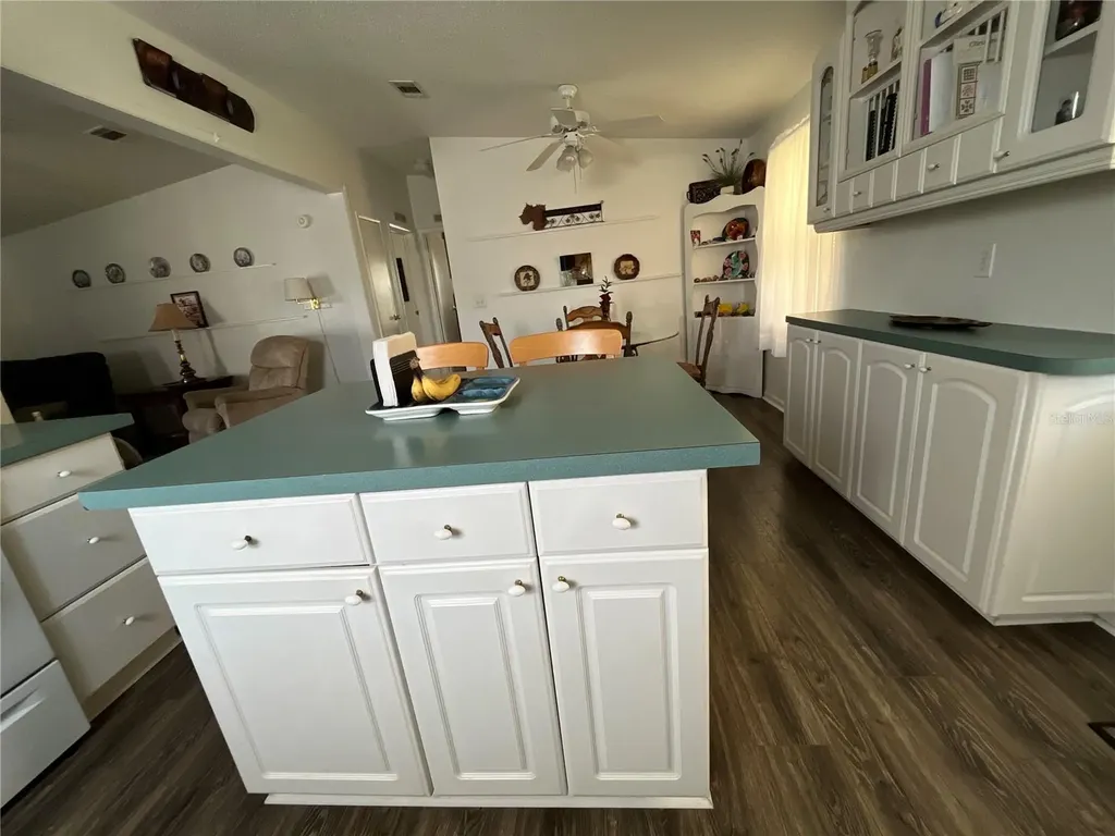 529 Rainbow Boulevard The Villages FL 32159