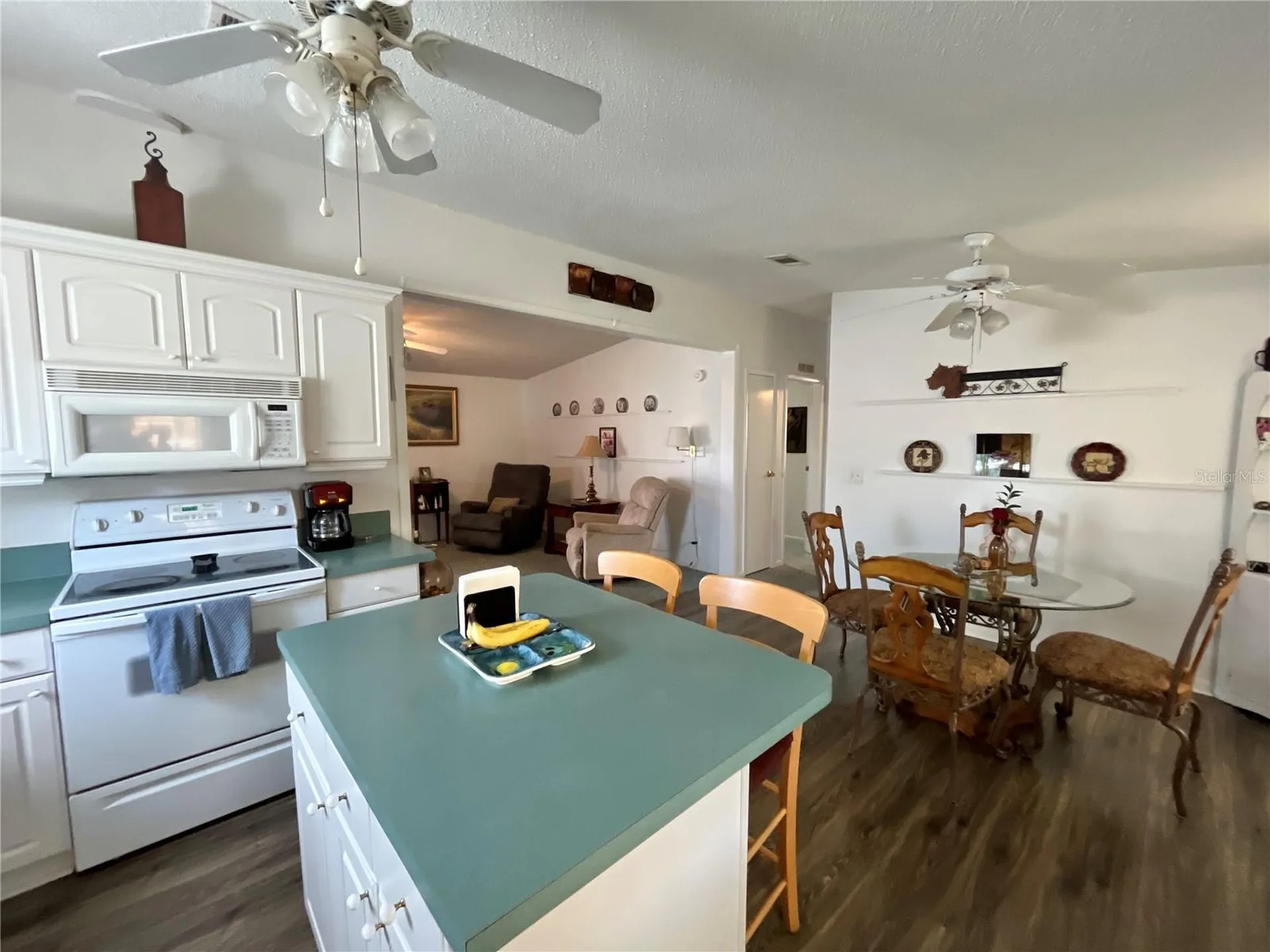 529 Rainbow Boulevard The Villages FL 32159