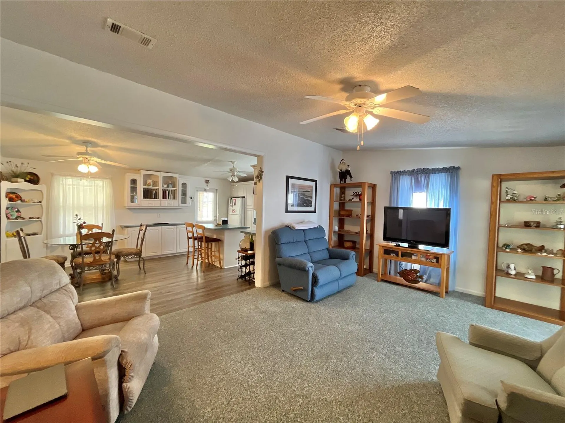 529 Rainbow Boulevard The Villages FL 32159