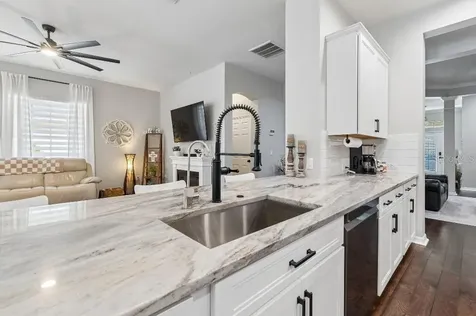 20537 Lace Cascade Road Land O Lakes FL 34637