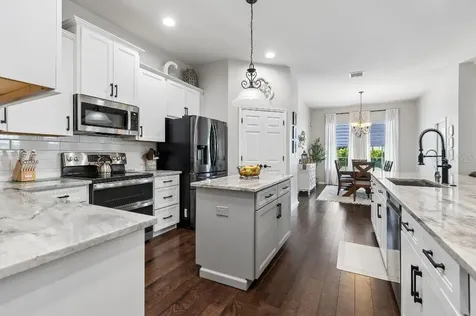 20537 Lace Cascade Road Land O Lakes FL 34637