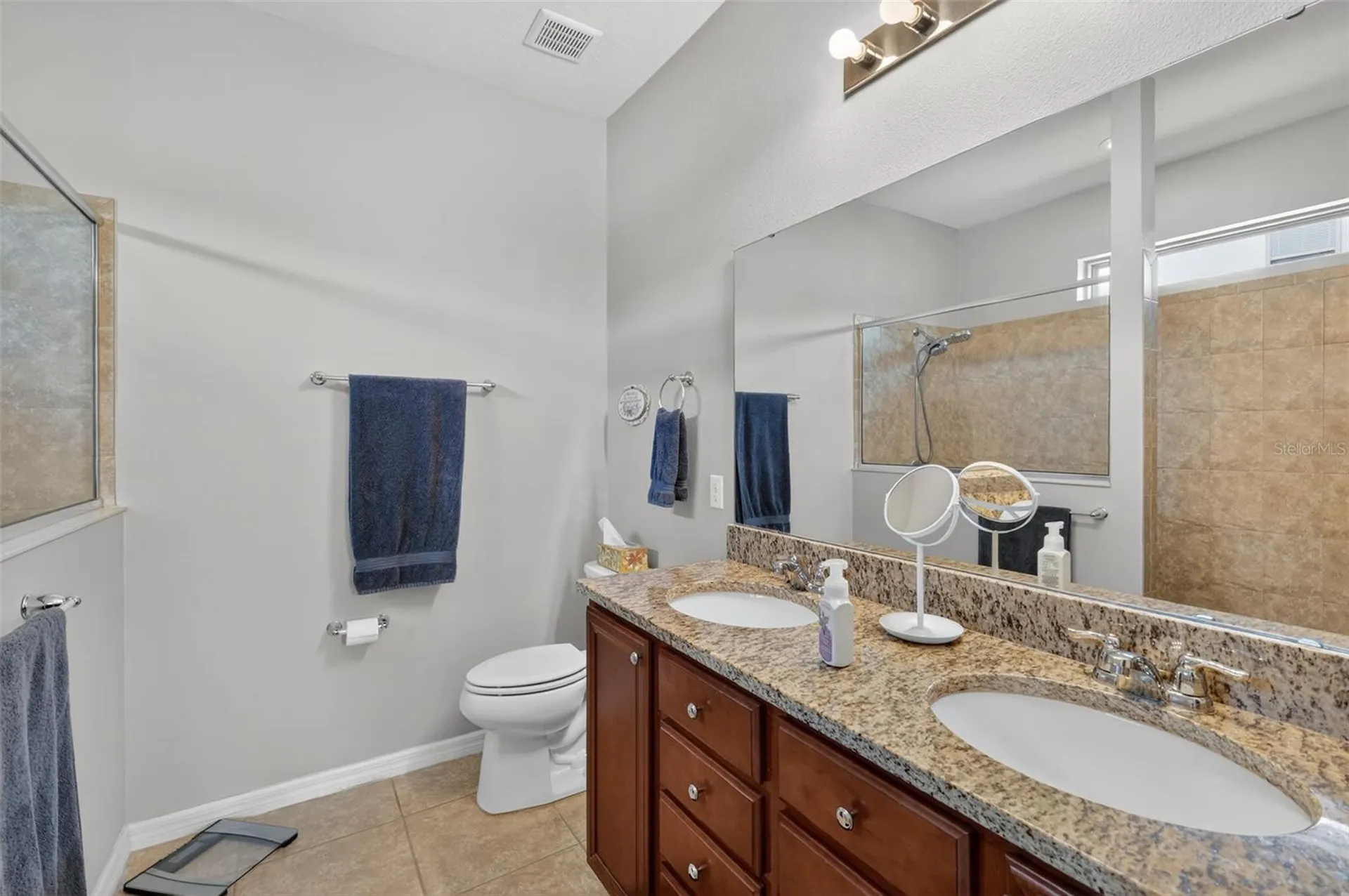 30112 Kladruby Point Mount Dora FL 32757