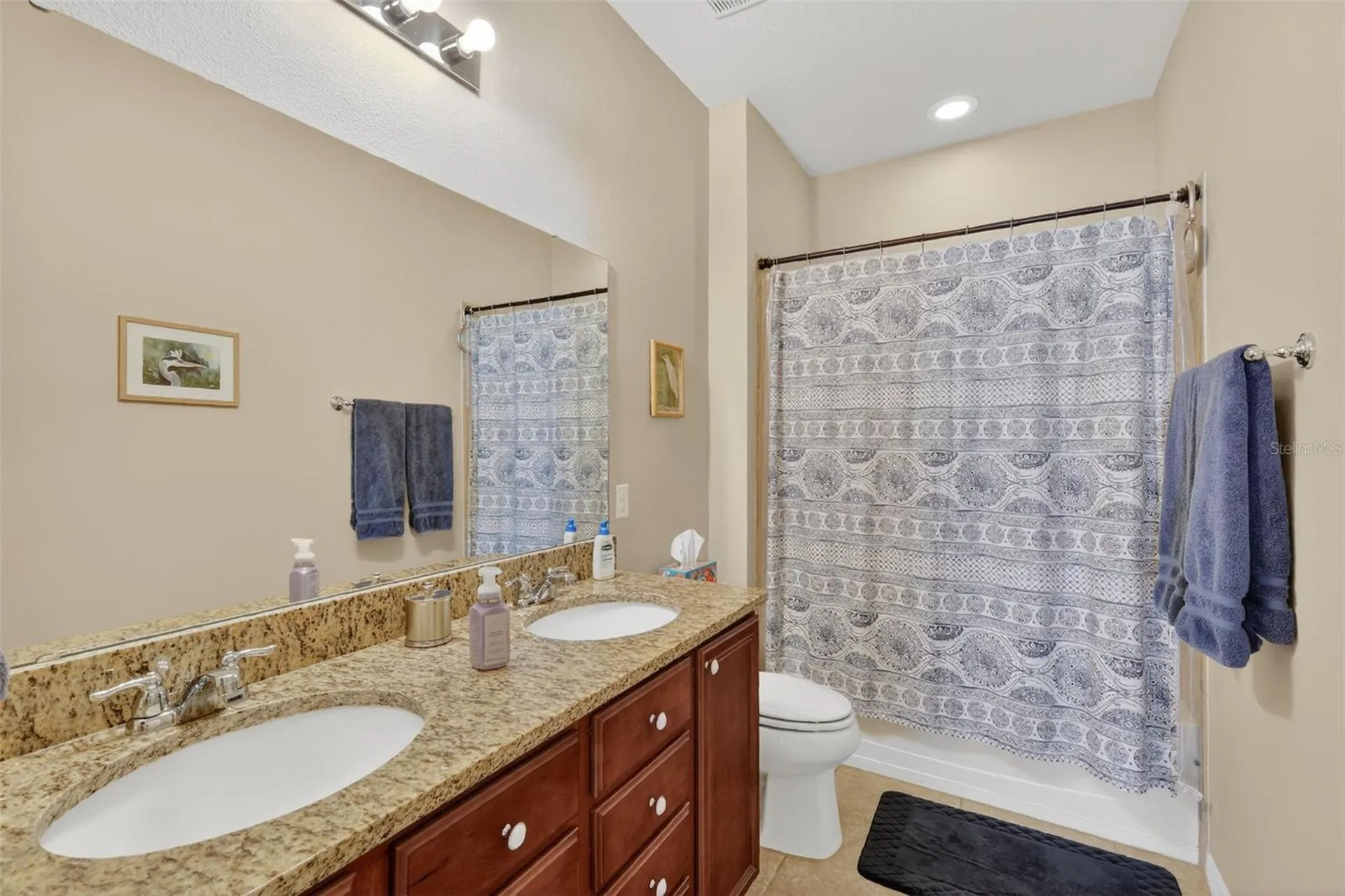 30112 Kladruby Point Mount Dora FL 32757