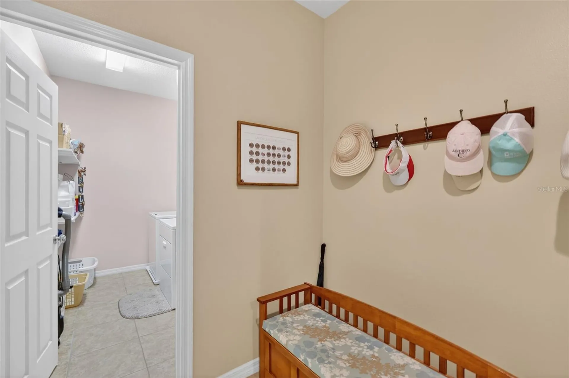 30112 Kladruby Point Mount Dora FL 32757