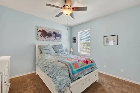 30112 Kladruby Point Mount Dora FL 32757