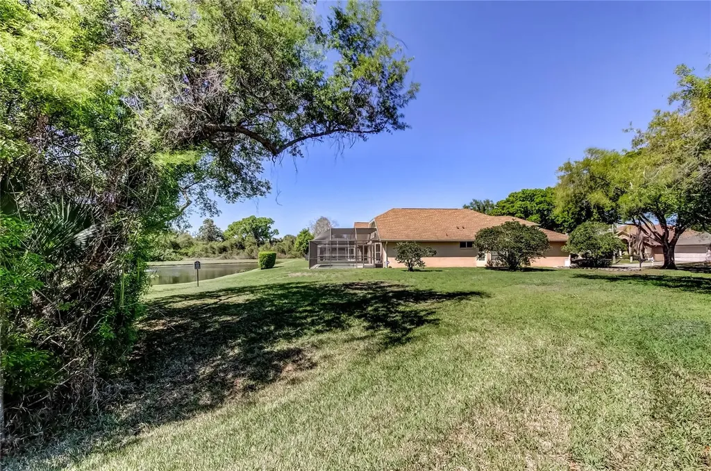 10002 Oasis Palm Drive Tampa FL 33615