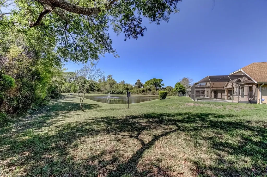 10002 Oasis Palm Drive Tampa FL 33615