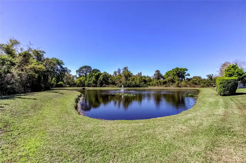 10002 Oasis Palm Drive Tampa FL 33615