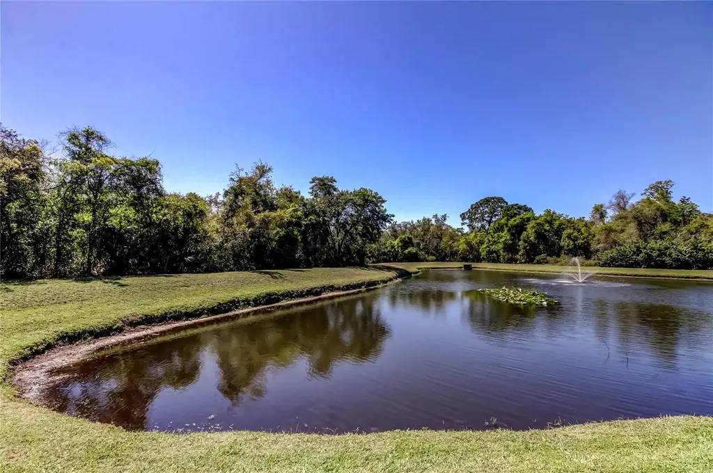 10002 Oasis Palm Drive Tampa FL 33615