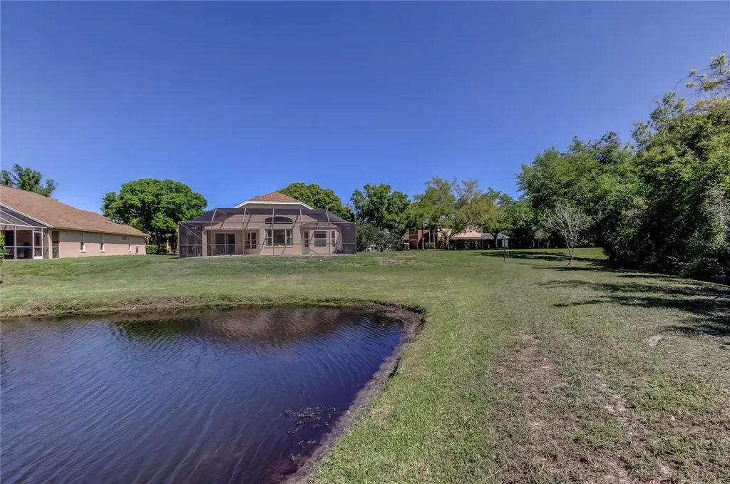 10002 Oasis Palm Drive Tampa FL 33615