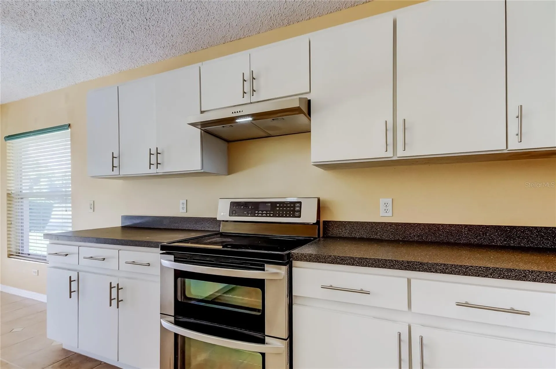 10002 Oasis Palm Drive Tampa FL 33615