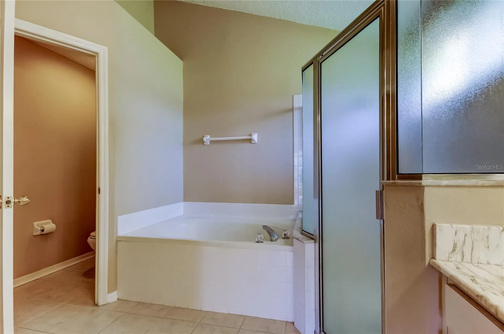 10002 Oasis Palm Drive Tampa FL 33615