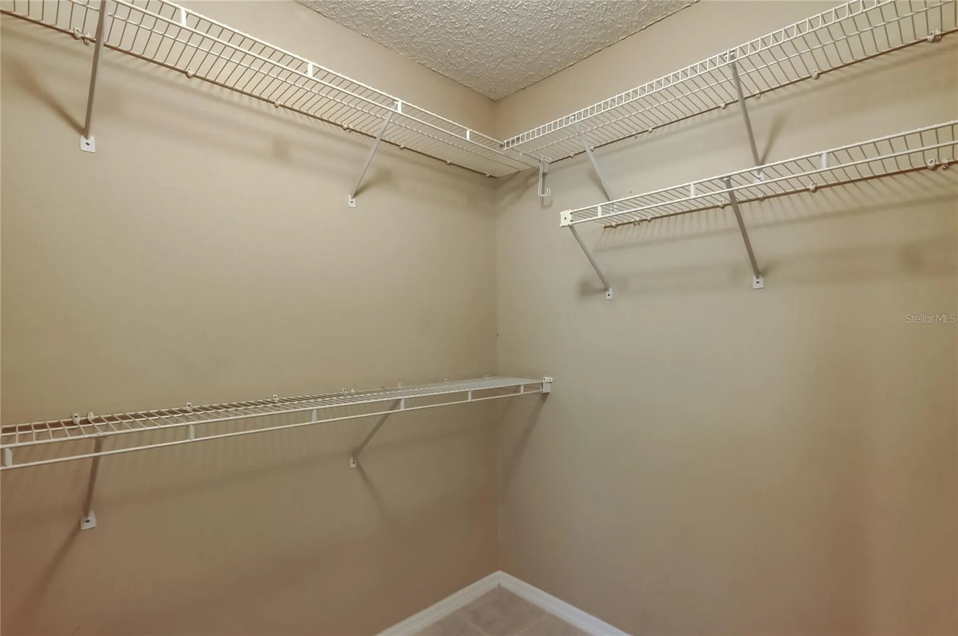 10002 Oasis Palm Drive Tampa FL 33615