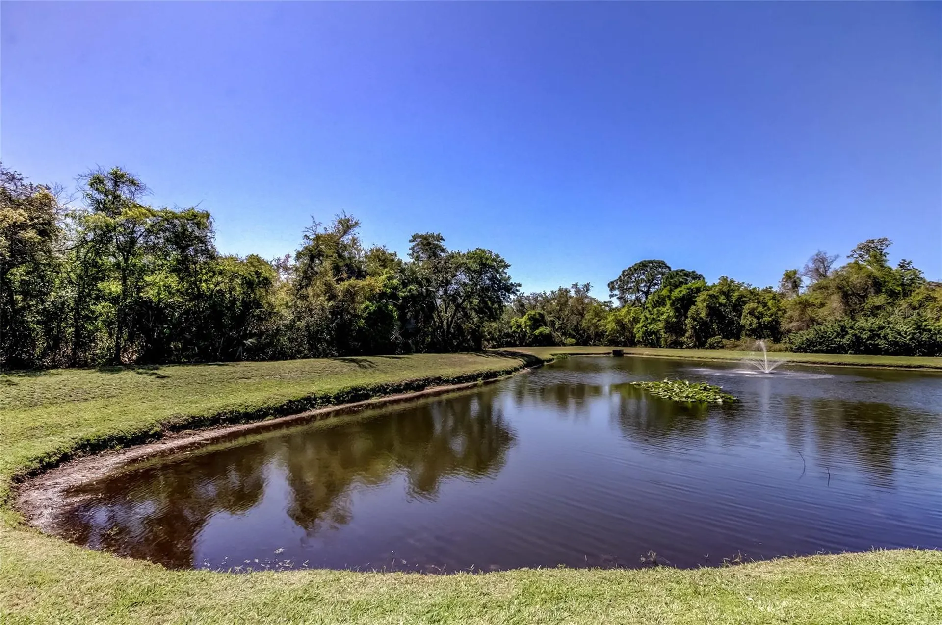 10002 Oasis Palm Drive Tampa FL 33615