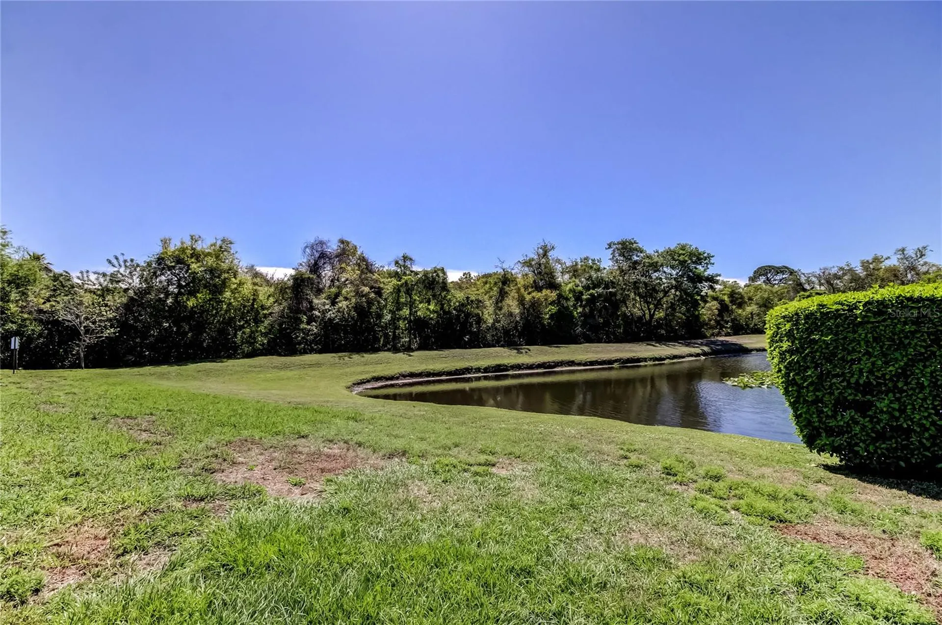 10002 Oasis Palm Drive Tampa FL 33615