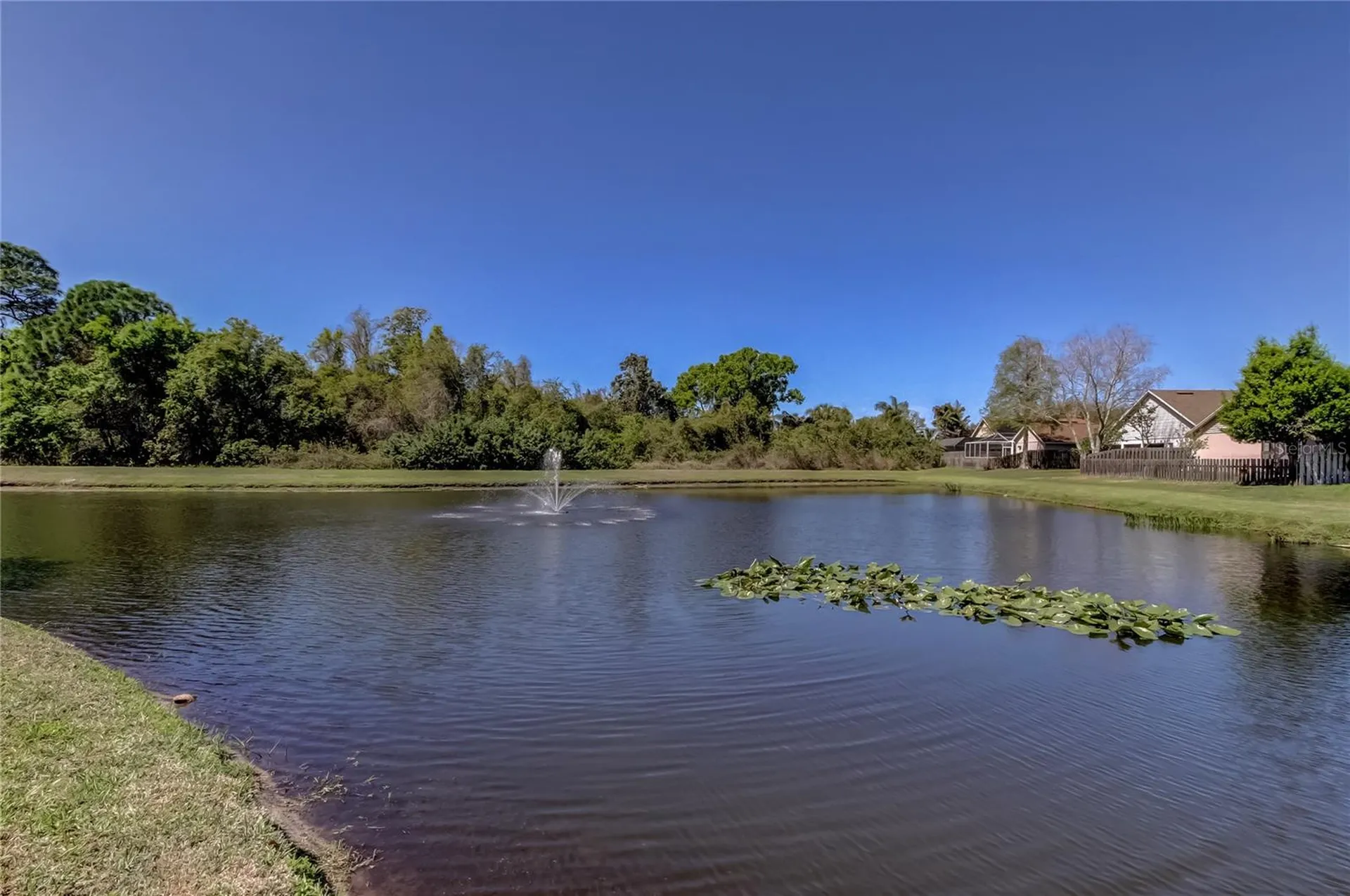 10002 Oasis Palm Drive Tampa FL 33615