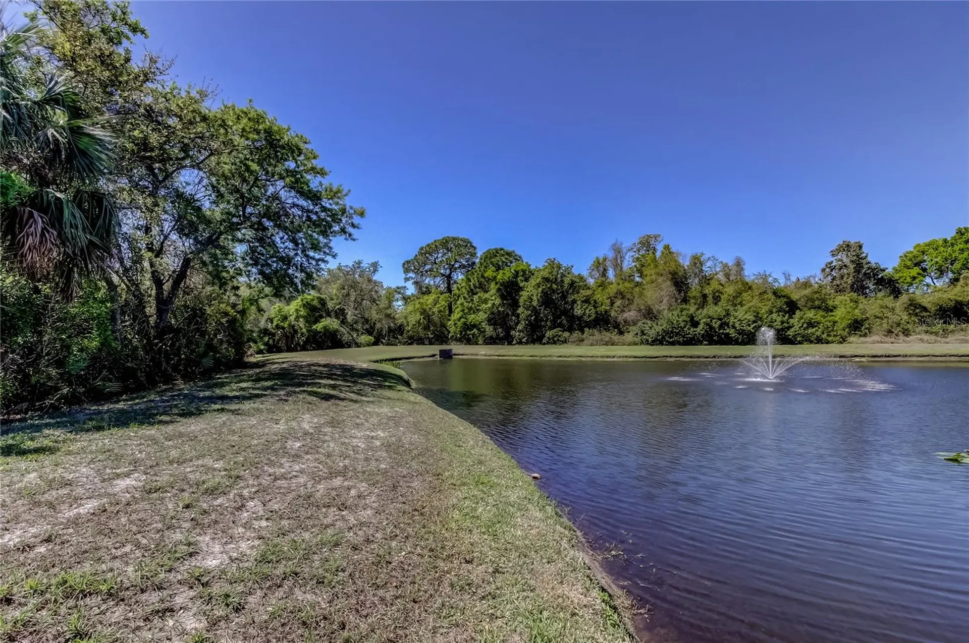 10002 Oasis Palm Drive Tampa FL 33615