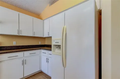 10002 Oasis Palm Drive Tampa FL 33615