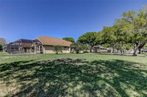 10002 Oasis Palm Drive Tampa FL 33615