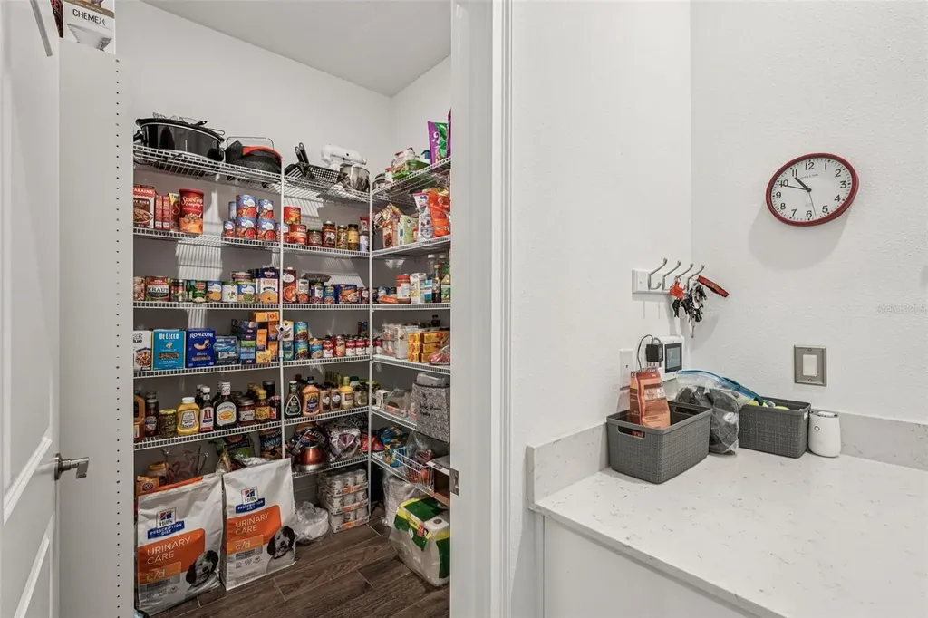 12847 Bergstrom Bay Drive Riverview FL 33579