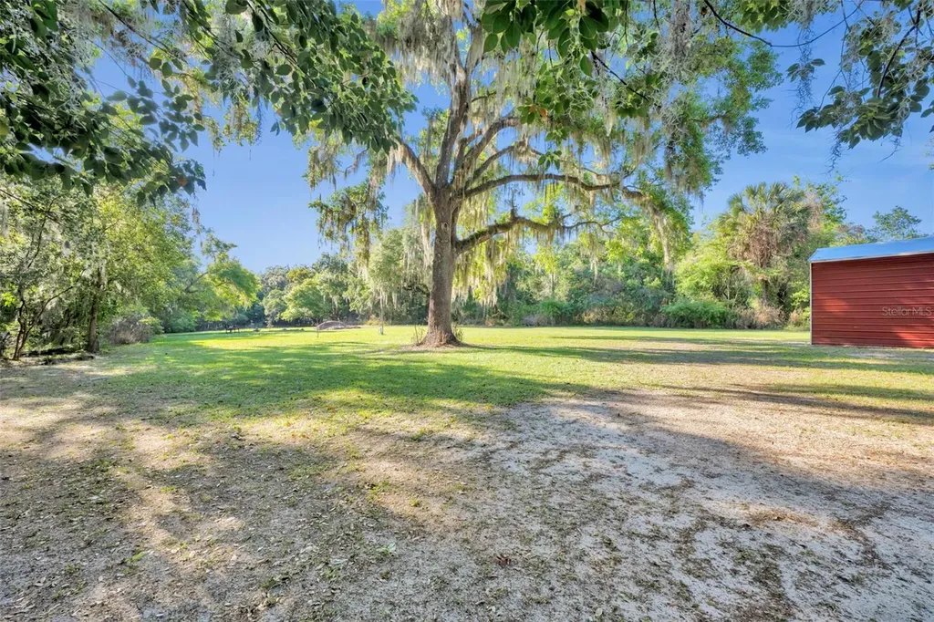 26721 Bloomfield Avenue Yalaha FL 34797