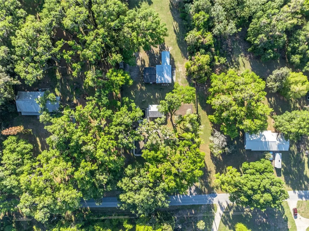 26721 Bloomfield Avenue Yalaha FL 34797